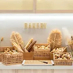 酒店 富埃特文图真蒂亚太阳酒店 莫罗德哈布雷