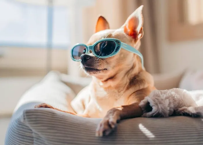 Sol Fuerteventura Jandia -